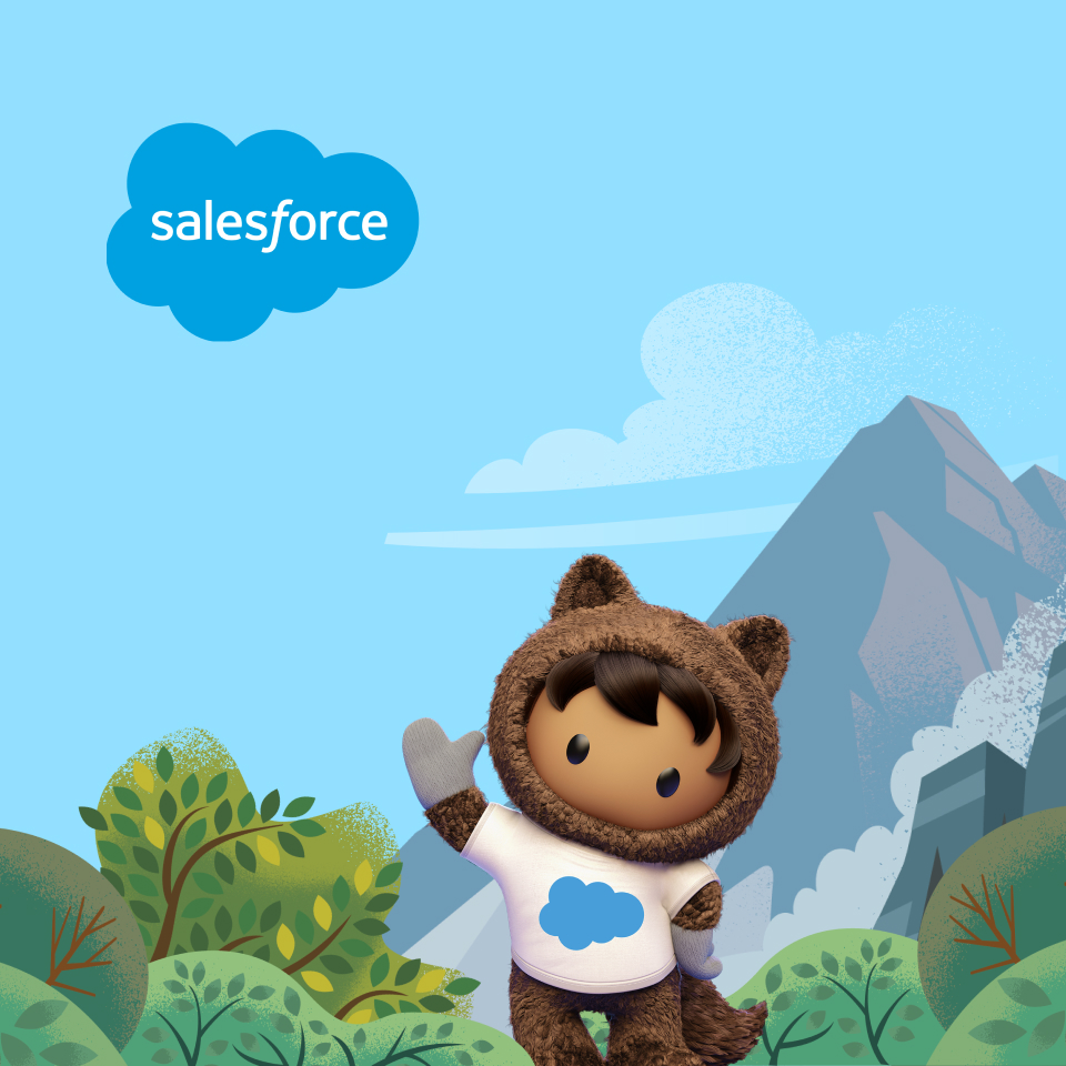 Salesforce Title Image